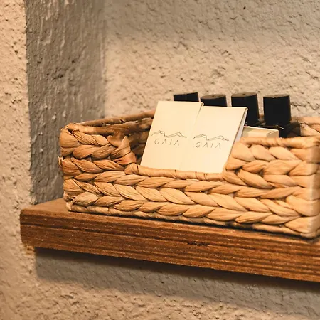 Gaia Bazaar ホテル *