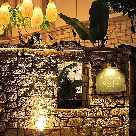 Gaia Bazaar Ξενοδοχείο *